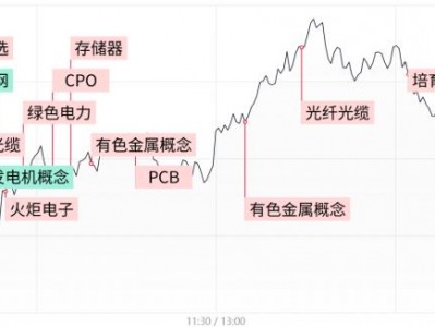 配資返點(diǎn)：【每日收評(píng)】創(chuàng)業(yè)板指震蕩走高漲超2.5%，CPO、光纖等AI硬件股卷土重來